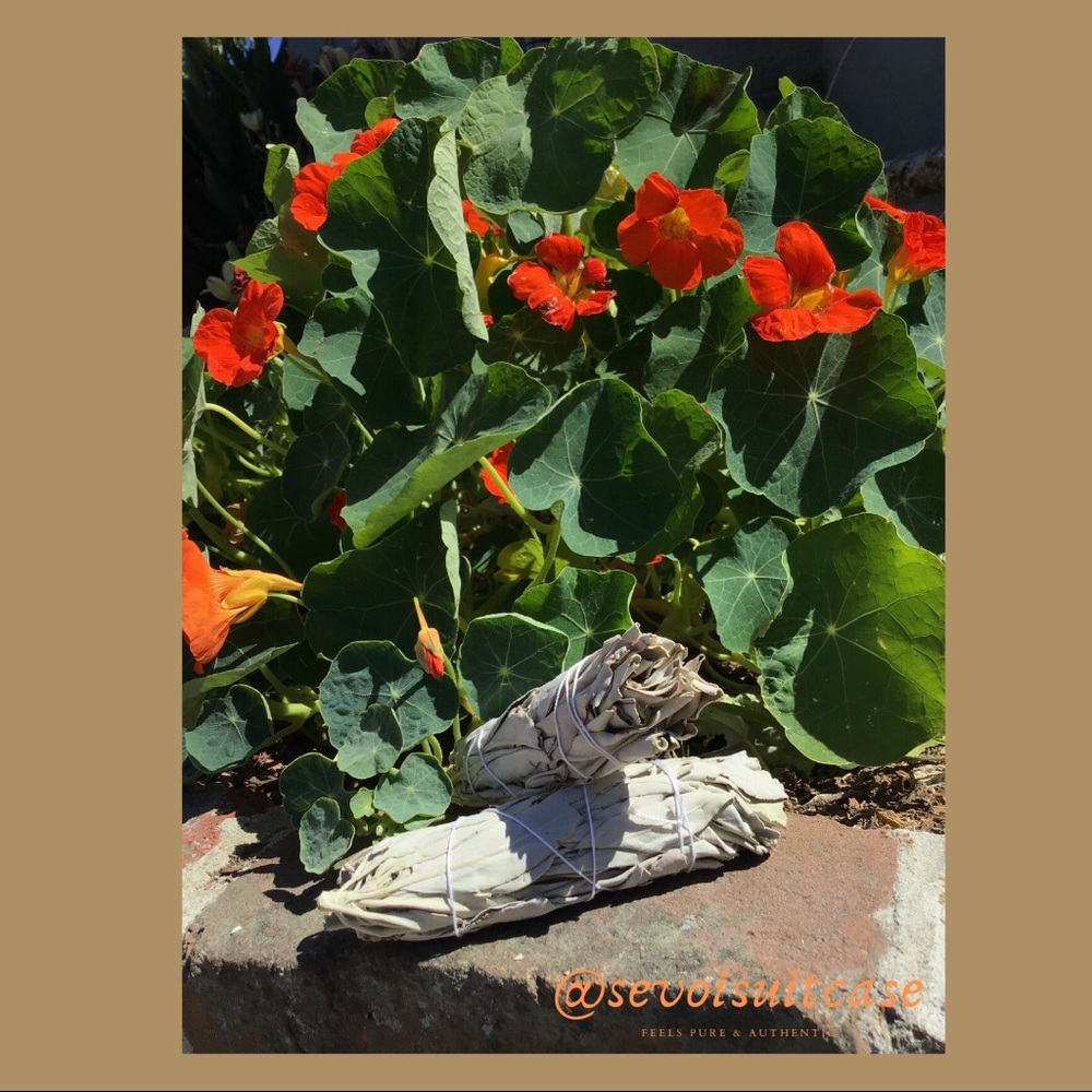 California White Sage Stick (one)